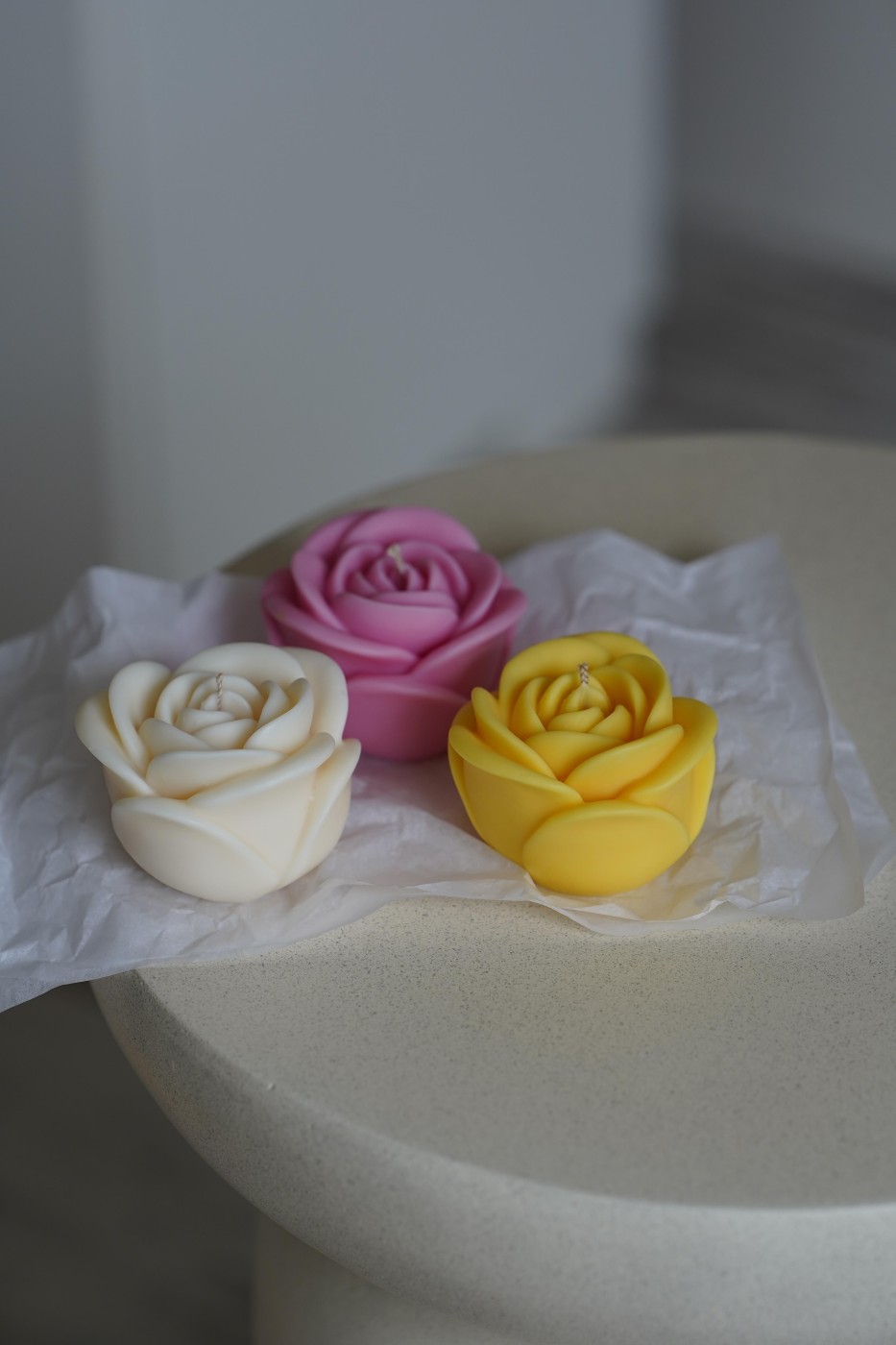 Růže, nejen dnes jsi výjimečná.