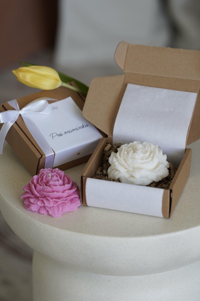 Pivoňka pro maminku