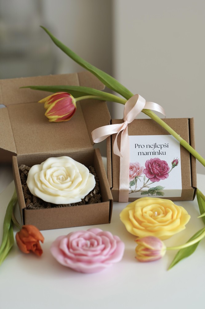 Růže | Dárek pro nejlepší maminku 