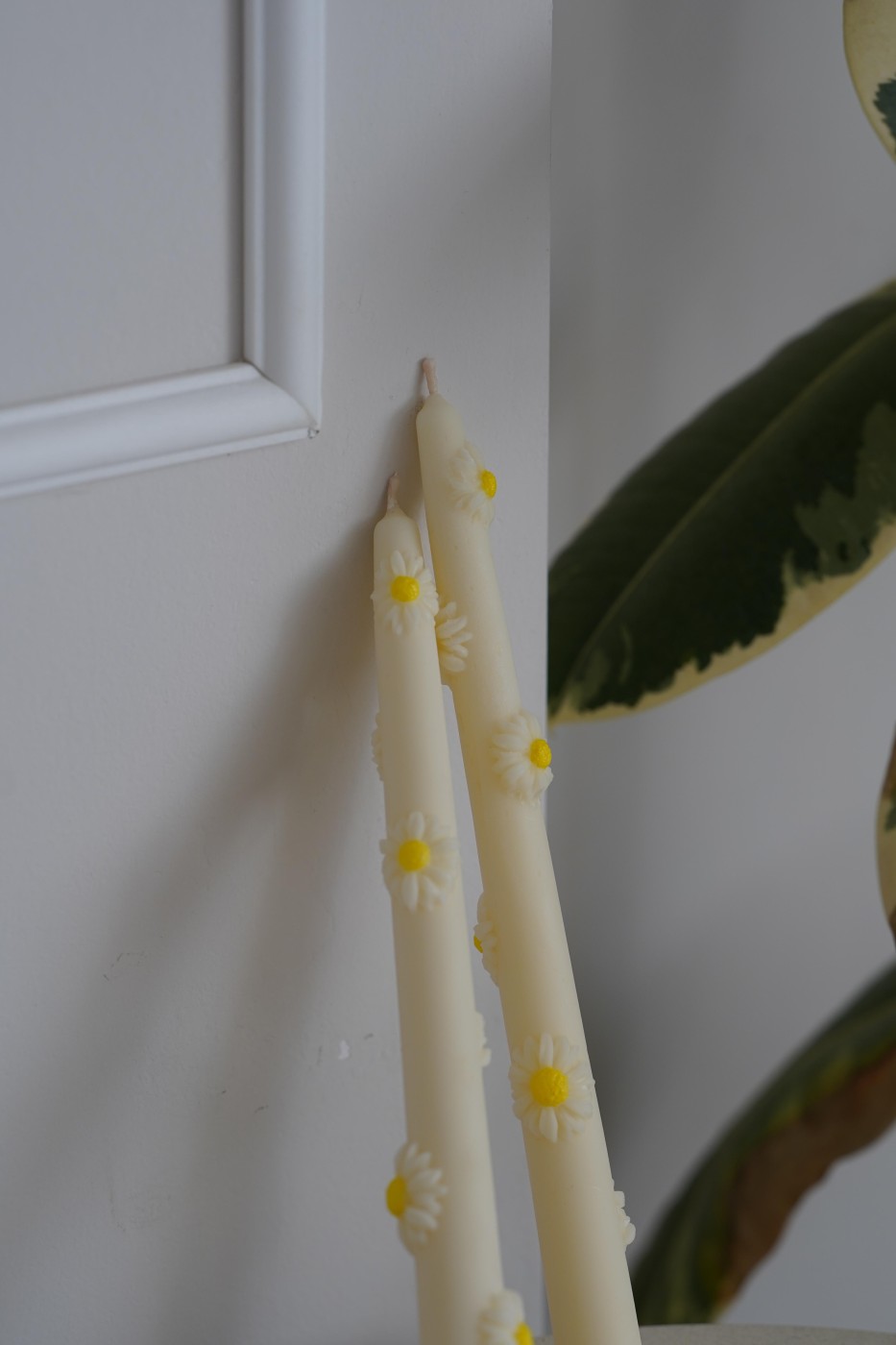 Vysoká svíčka Sedmikráska