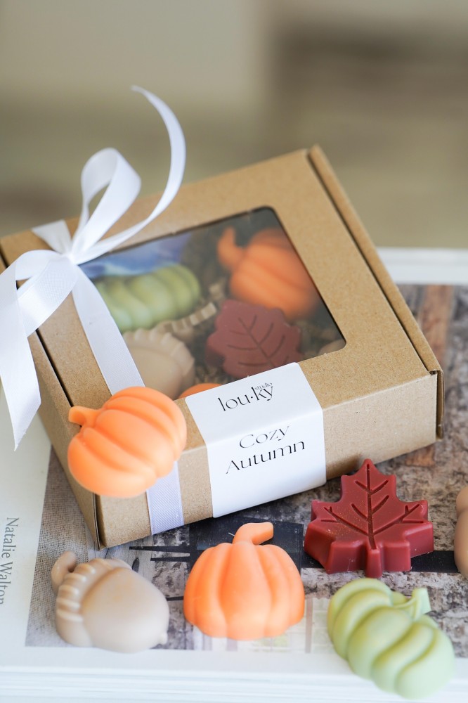 Cozy Autumn | Vonné vosky do aroma lampy 