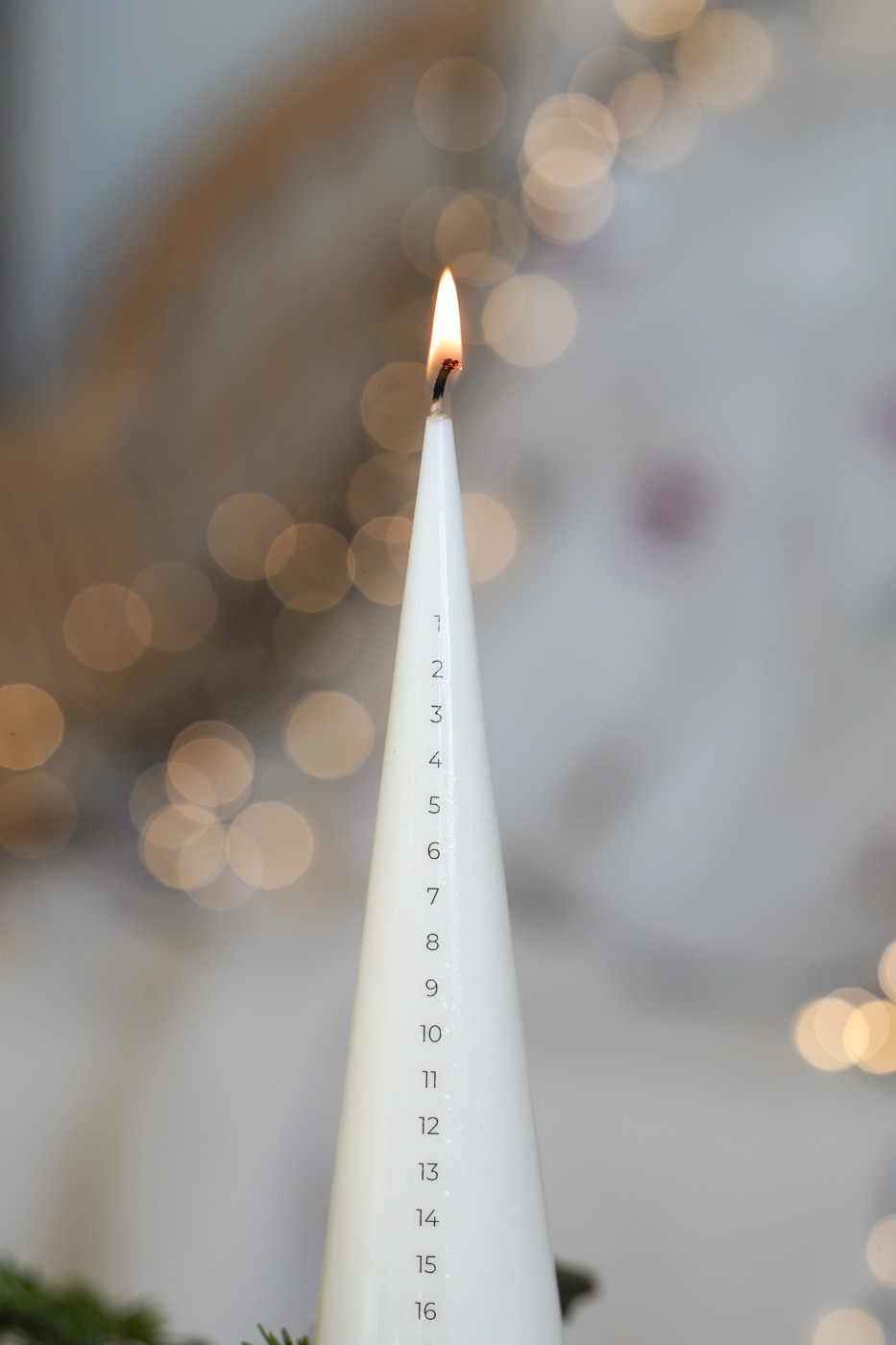 Adventní Bodlinka | Adventní sójová svíčka 