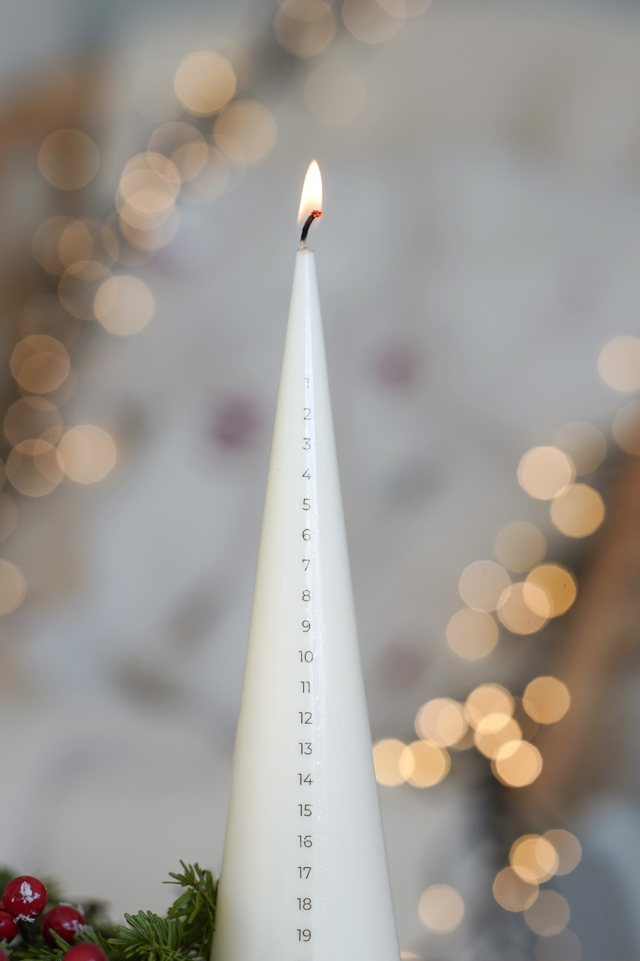 Adventní Bodlinka | Adventní sójová svíčka 