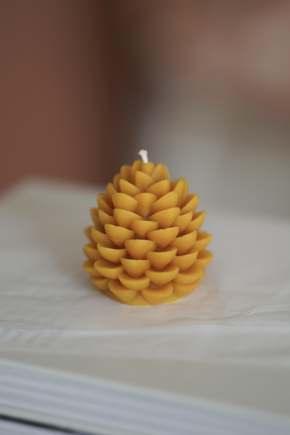 Šiška | Včelí vosk 