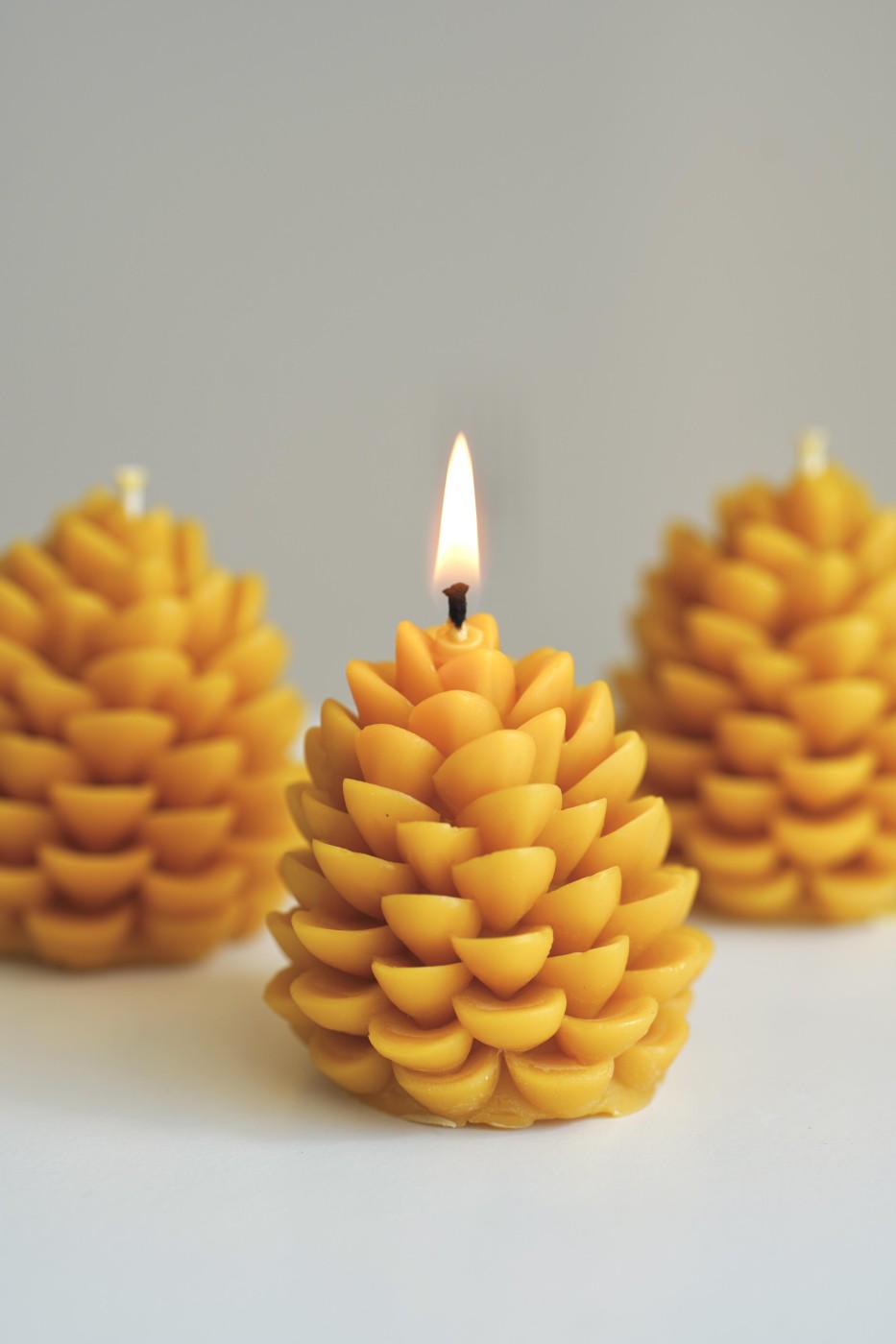 Šiška | Včelí vosk 