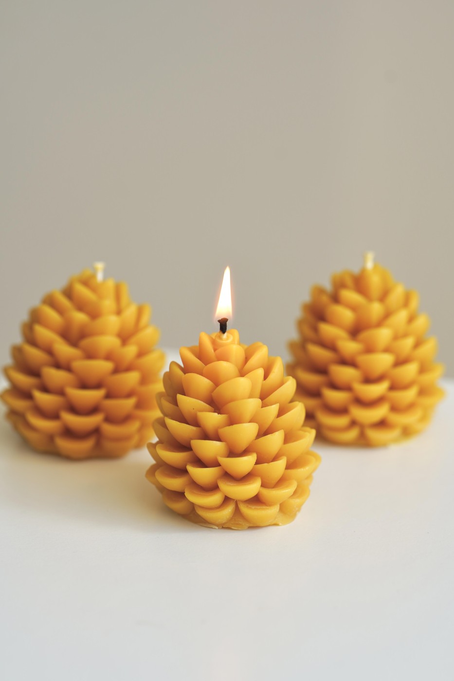 Šiška | Včelí vosk 