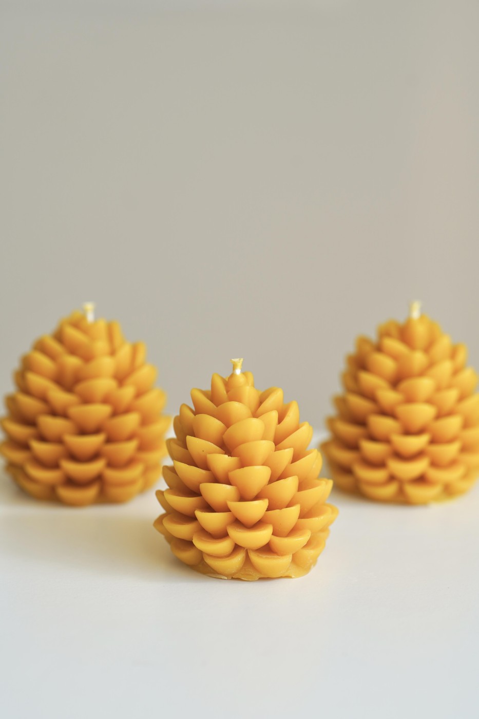 Šiška | Včelí vosk 